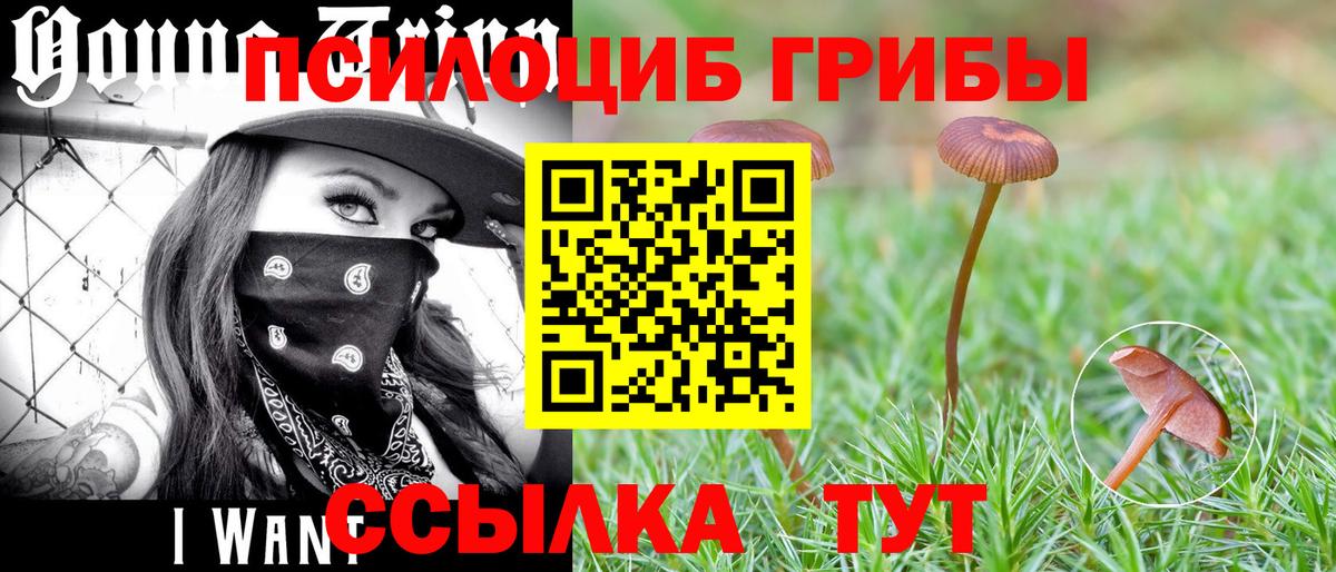 Белово  где купить наркоту  Вход с VPN  Галлюциногенные грибы MAGIC MUSHROOMS 