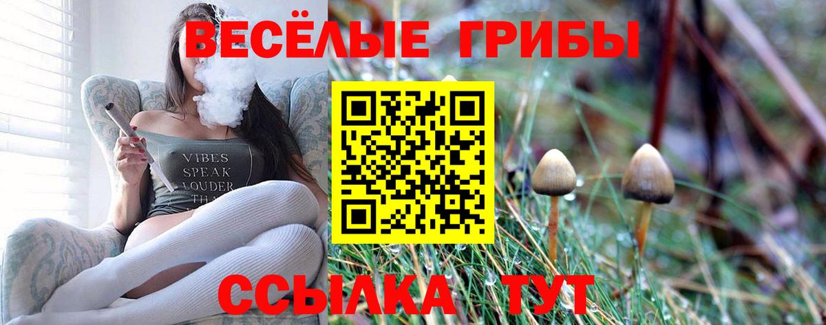 Псилоцибиновые грибы прущие грибы Белово